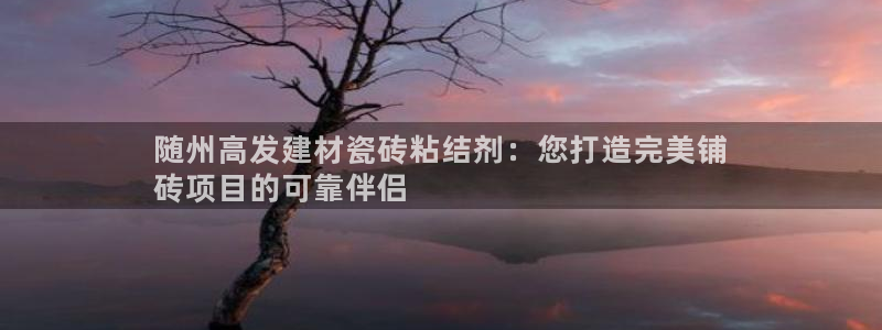 杏鑫平台注册网址