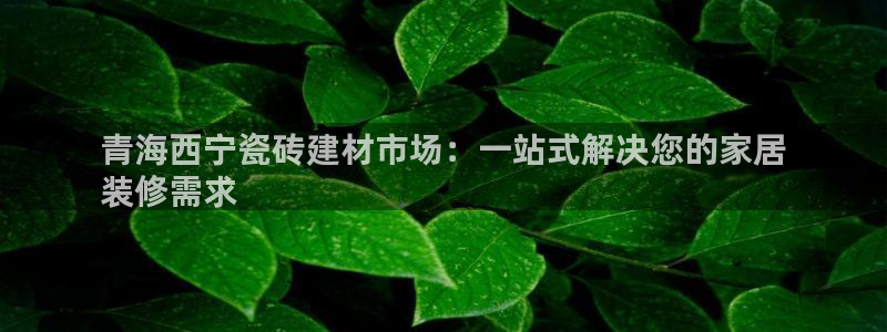 杏鑫平台注册入口