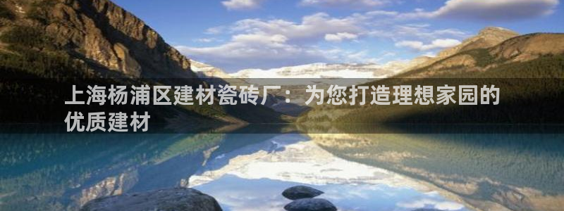 杏鑫平台代理注册流程及费用