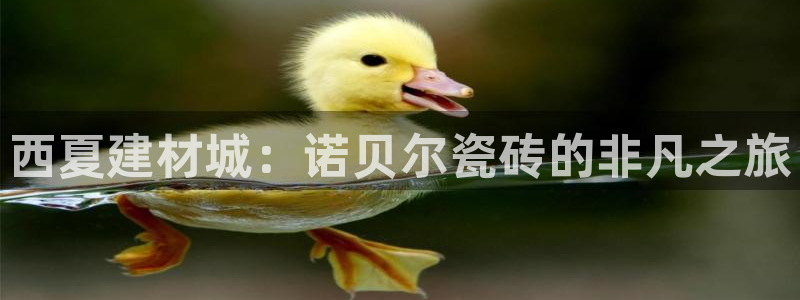 杏鑫平台代理注册