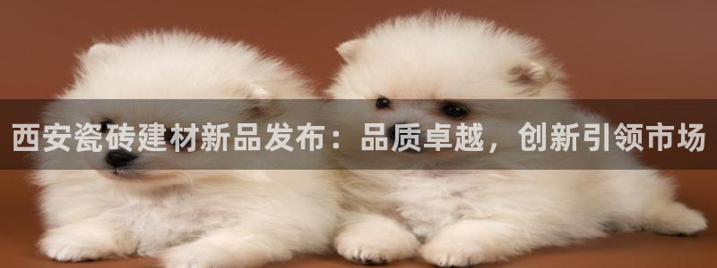 杏鑫平台怎么样黑钱吗安全吗可靠吗