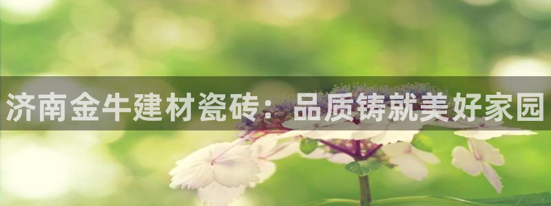 杏鑫平台在线注册流程