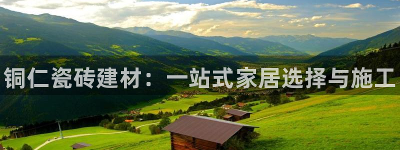 杏鑫平台正规吗