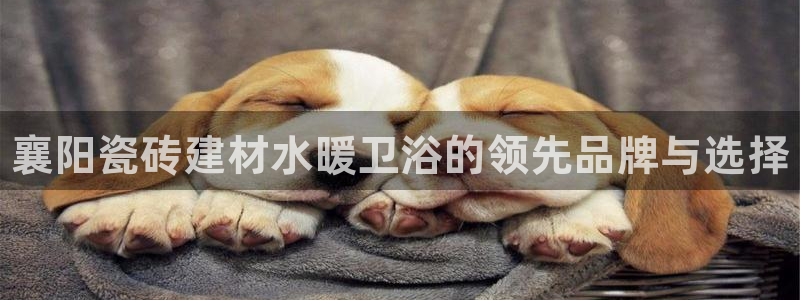 杏鑫娱乐是真的吗