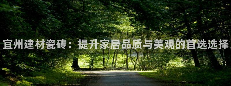 杏鑫平台注册登录