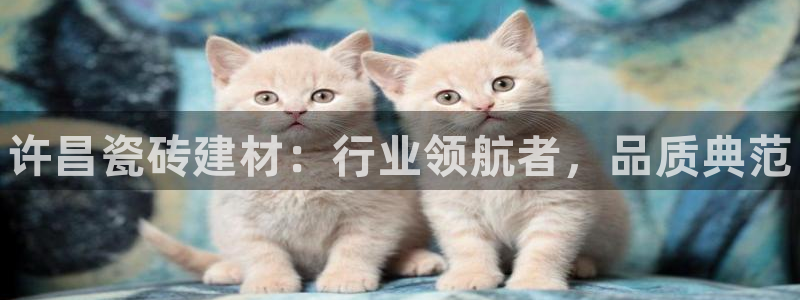 杏鑫平台代理怎么样赚钱