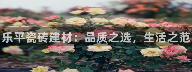 杏鑫官网注册账号是什么