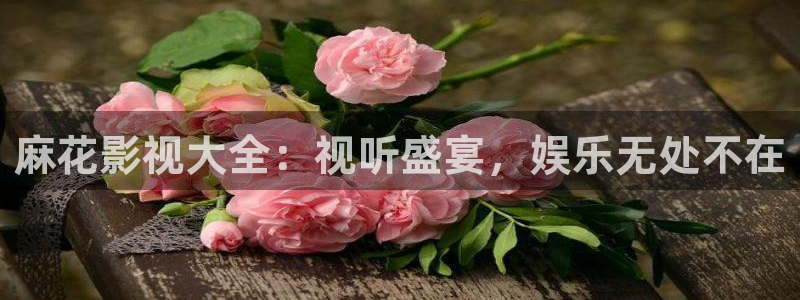 即看影视电脑版：麻花影视大全：视听盛宴，娱乐无处不在